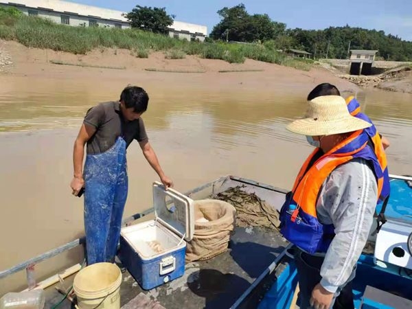 县农业农村局海洋与渔业执法队开展执法检查